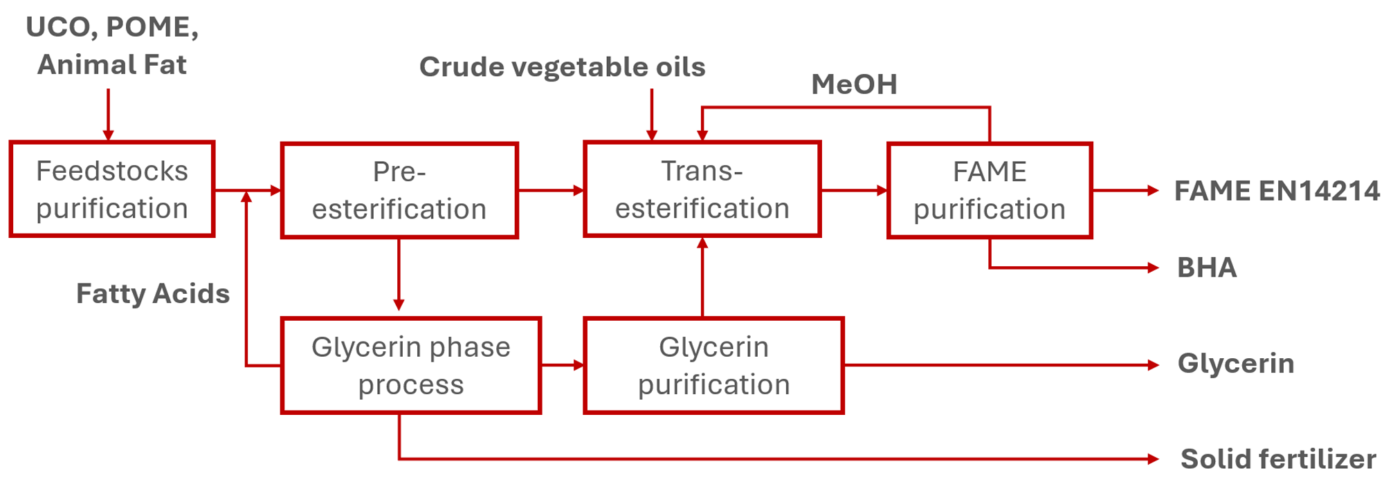 BioDiesel Multifeedstock diagram